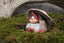 Matti Klarborg Nisse