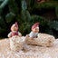 Astrid Klarborg Nisse