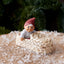Aksel Klarborg Nisse