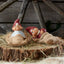 Louise Klarborg Nisse
