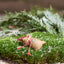 Hilmer Klarborg Nisse