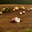 Adam Klarborg Nisse