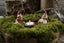 Simone Klarborg Nisse