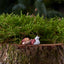 Lea Klarborg Nisse