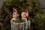 Luffe & Musse Klarborg Nisser